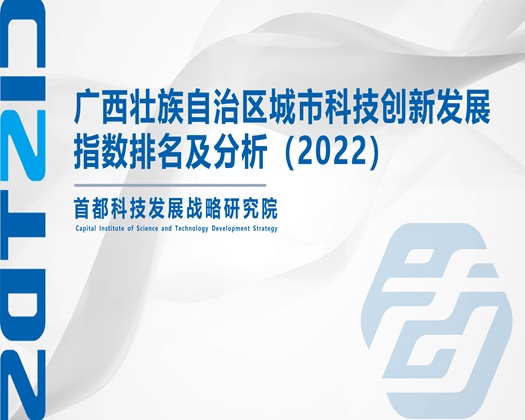 美女漏鲍鱼被艹【成果发布】广西壮族自治区城市科技创新发展指数排名及分析（2022）